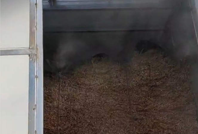 Ningguo Kuntai bambú y madera Co., Ltd.