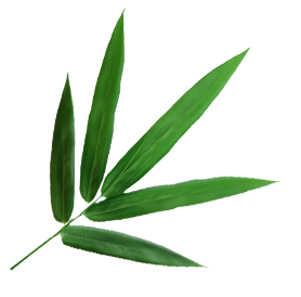 Ningguo Kuntai bambú y madera Co., Ltd.